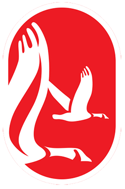 Teach for Canada goose graphic on red background