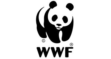WWF is a major client of Loop: Design for Social Good.