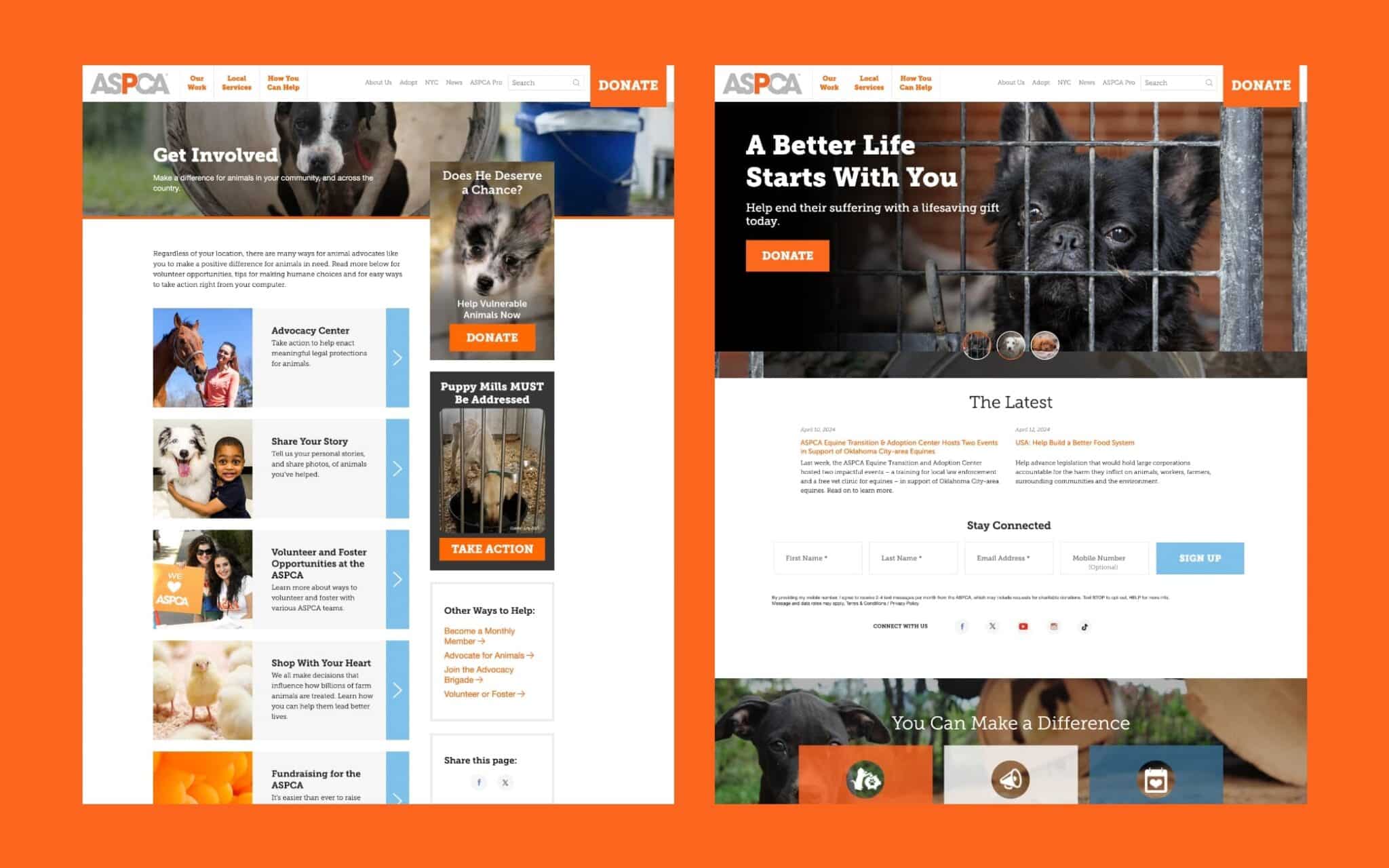 The ASPCA's nonprofit website.